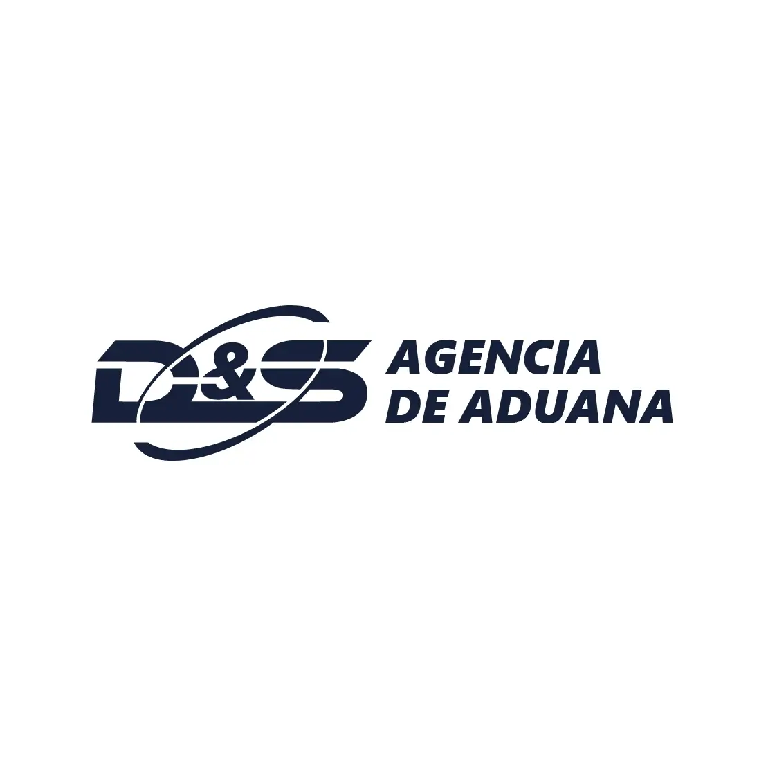 Logo DS
